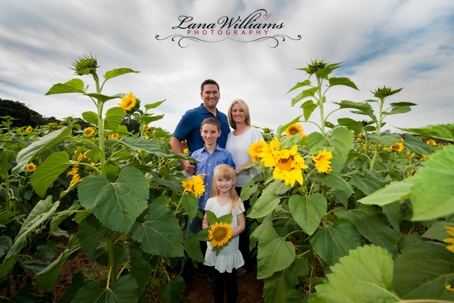 Panama City Photography Fall Family Sunflower Session Lana Williams Photography Blog Panama City Beach Photographer